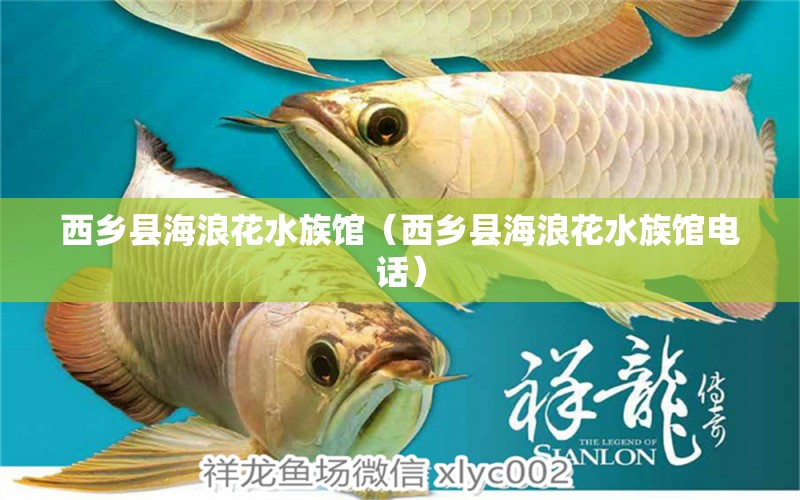 西乡县海浪花水族馆（西乡县海浪花水族馆电话） 全国水族馆企业名录