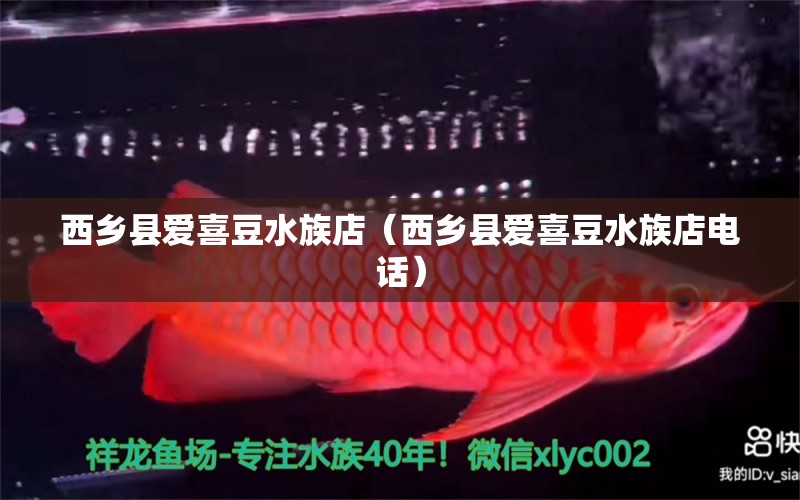 西乡县爱喜豆水族店（西乡县爱喜豆水族店电话） 全国水族馆企业名录