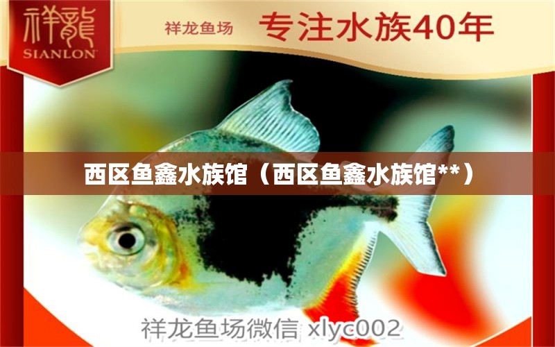 西区鱼鑫水族馆（西区鱼鑫水族馆**） 全国水族馆企业名录