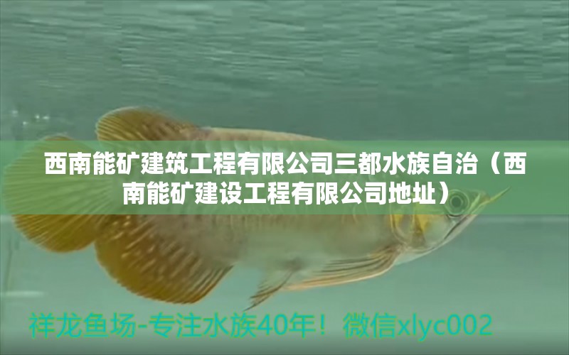 西南能矿建筑工程有限公司三都水族自治（西南能矿建设工程有限公司地址） 全国水族馆企业名录