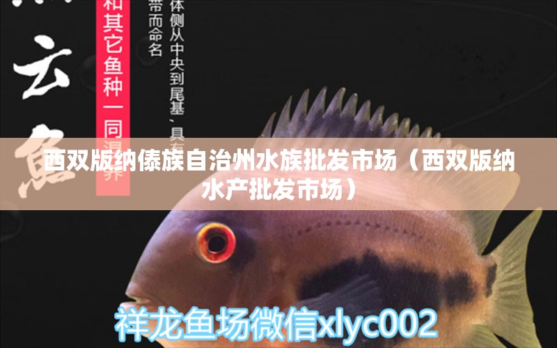 西双版纳傣族自治州水族批发市场（西双版纳水产批发市场）