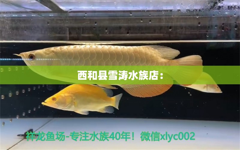 西和县雪涛水族店：