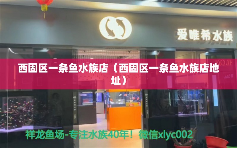 西固区一条鱼水族店（西固区一条鱼水族店地址）