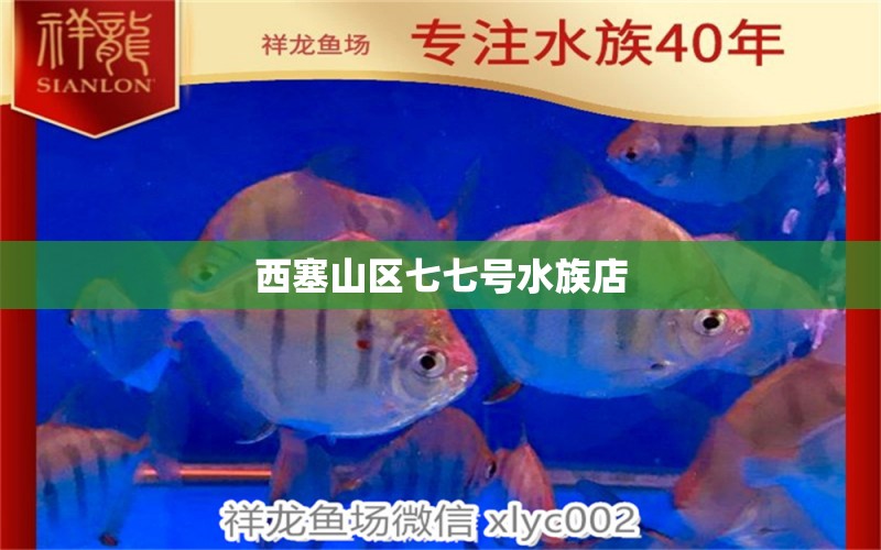 西塞山区七七号水族店