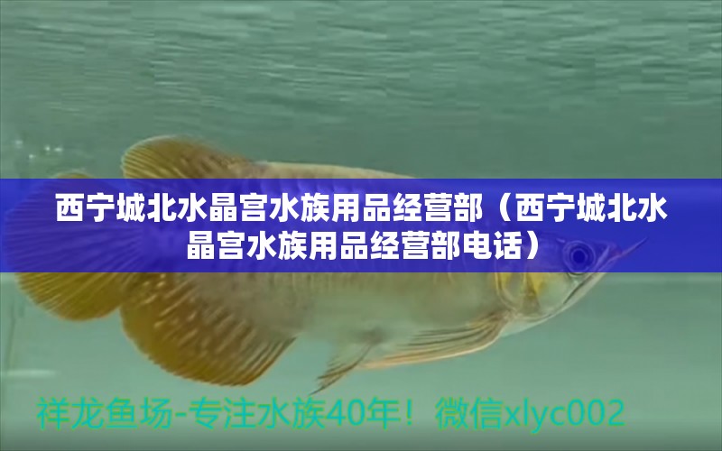 西宁城北水晶宫水族用品经营部（西宁城北水晶宫水族用品经营部电话） 水族用品