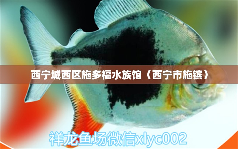 西宁城西区施多福水族馆（西宁市施镔）