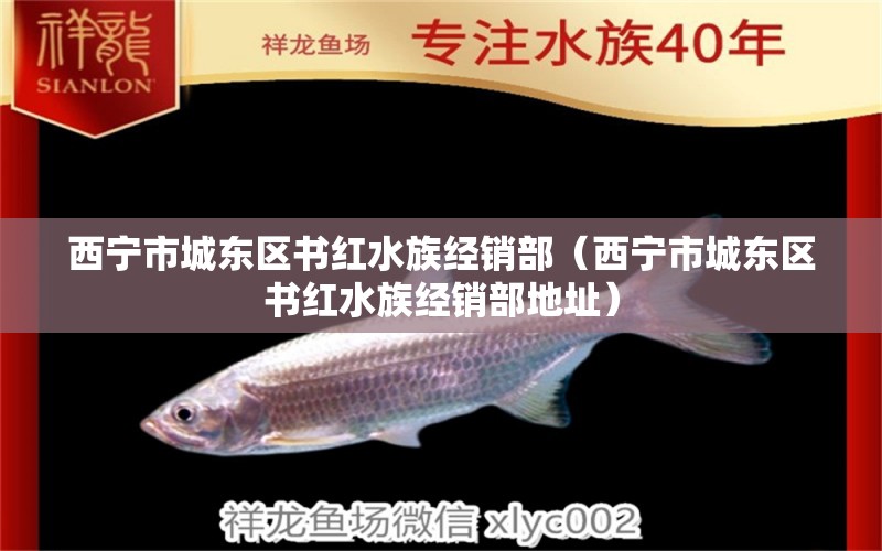 西宁市城东区书红水族经销部（西宁市城东区书红水族经销部地址）