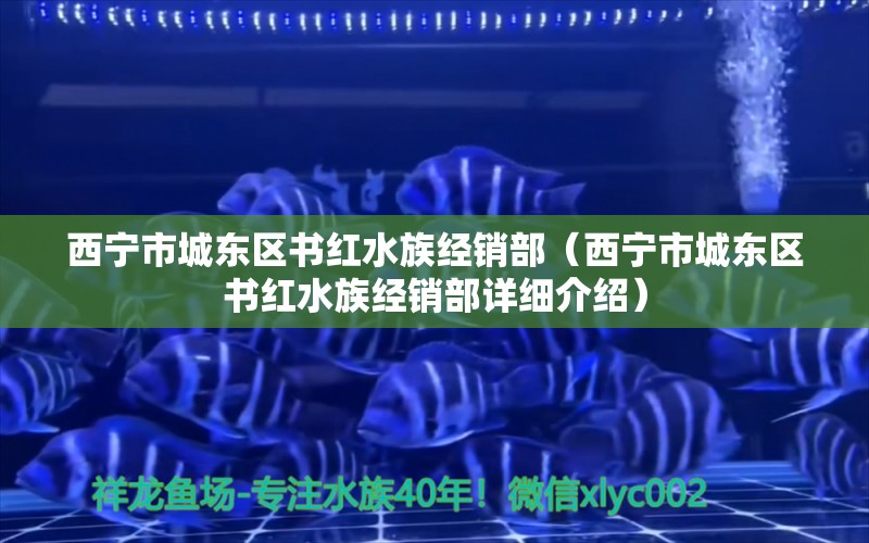 西宁市城东区书红水族经销部（西宁市城东区书红水族经销部详细介绍） 全国观赏鱼市场 第2张