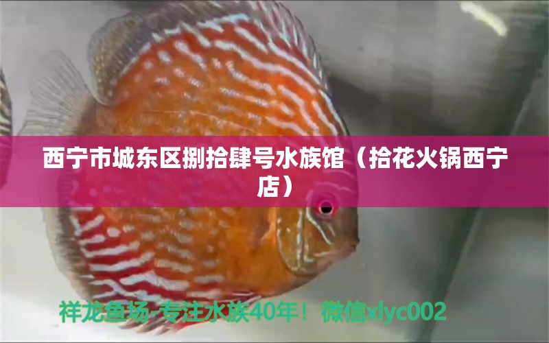 西宁市城东区捌拾肆号水族馆（拾花火锅西宁店） 全国水族馆企业名录