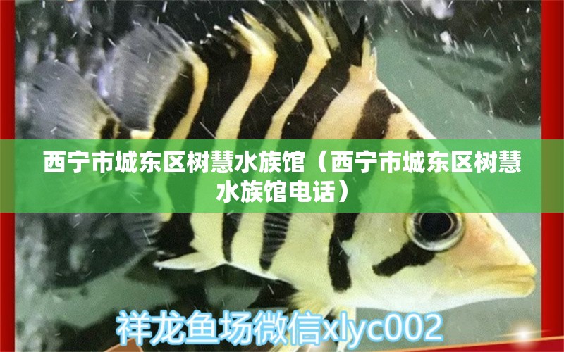 西宁市城东区树慧水族馆（西宁市城东区树慧水族馆电话） 全国水族馆企业名录