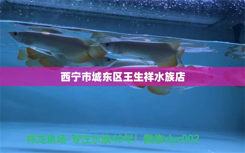 西宁市城东区王生祥水族店 全国水族馆企业名录