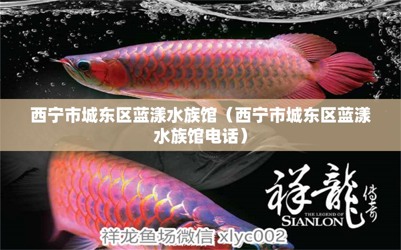 西宁市城东区蓝漾水族馆（西宁市城东区蓝漾水族馆电话）