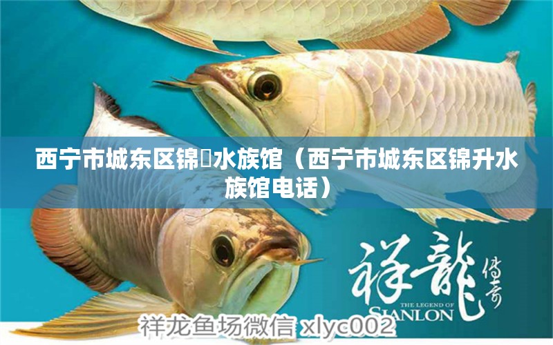 西宁市城东区锦昇水族馆（西宁市城东区锦升水族馆电话） 全国水族馆企业名录