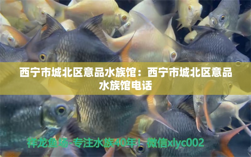 西宁市城北区意品水族馆：西宁市城北区意品水族馆电话