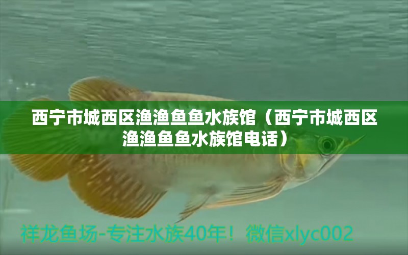 西宁市城西区渔渔鱼鱼水族馆（西宁市城西区渔渔鱼鱼水族馆电话） 全国水族馆企业名录 第2张