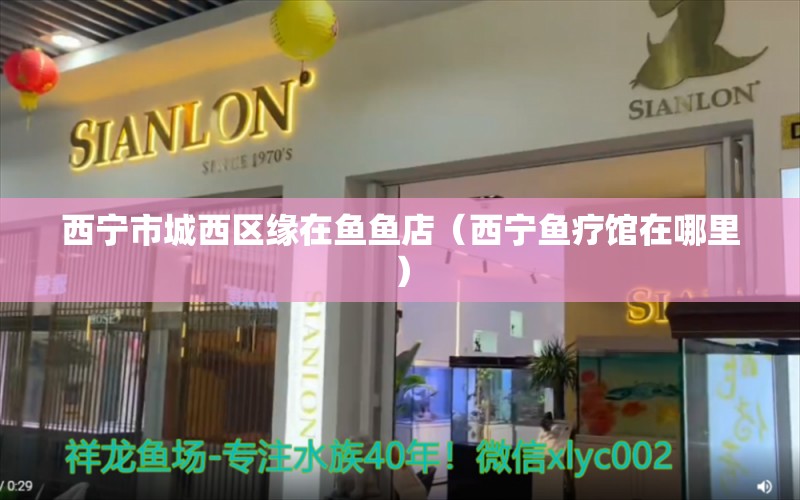 西宁市城西区缘在鱼鱼店（西宁鱼疗馆在哪里） 全国水族馆企业名录