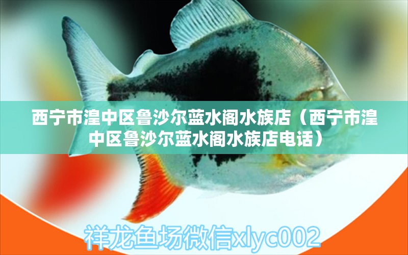 西宁市湟中区鲁沙尔蓝水阁水族店（西宁市湟中区鲁沙尔蓝水阁水族店电话）