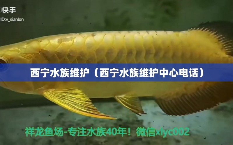 西宁水族维护（西宁水族维护中心电话）