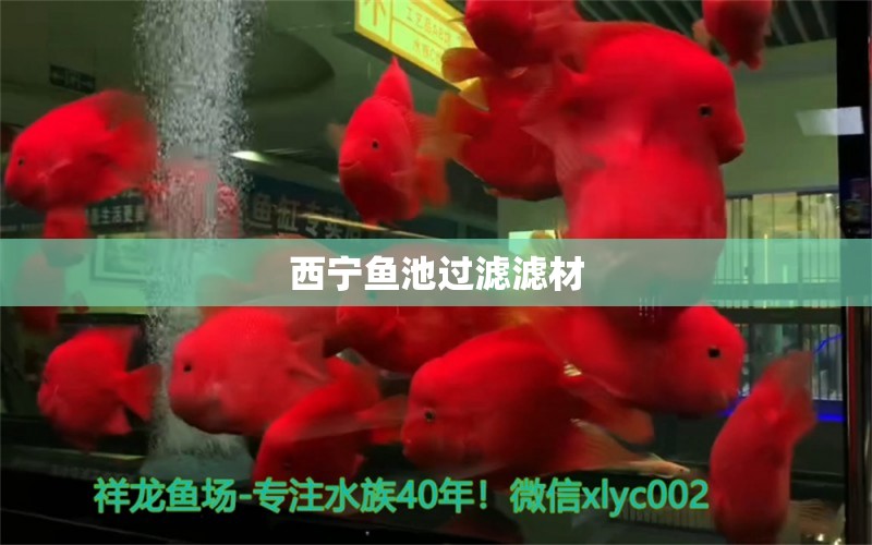 西宁鱼池过滤滤材 广州水族器材滤材批发市场