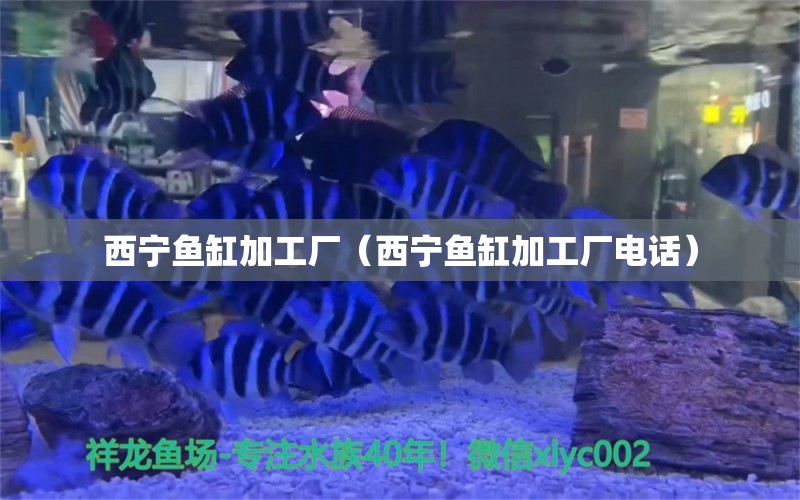 西宁鱼缸加工厂（西宁鱼缸加工厂电话）