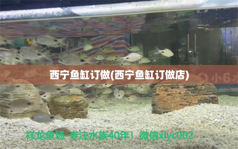 西宁鱼缸订做(西宁鱼缸订做店)