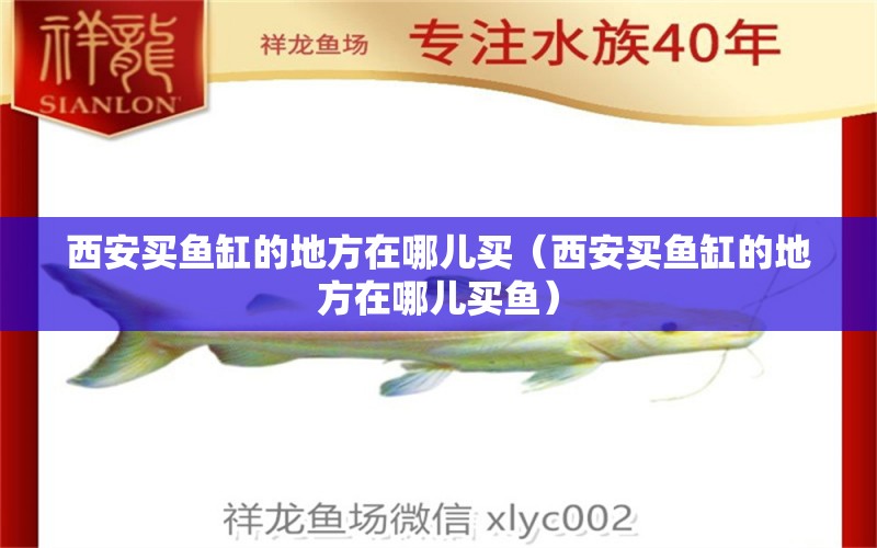 西安买鱼缸的地方在哪儿买（西安买鱼缸的地方在哪儿买鱼） 祥龙水族医院