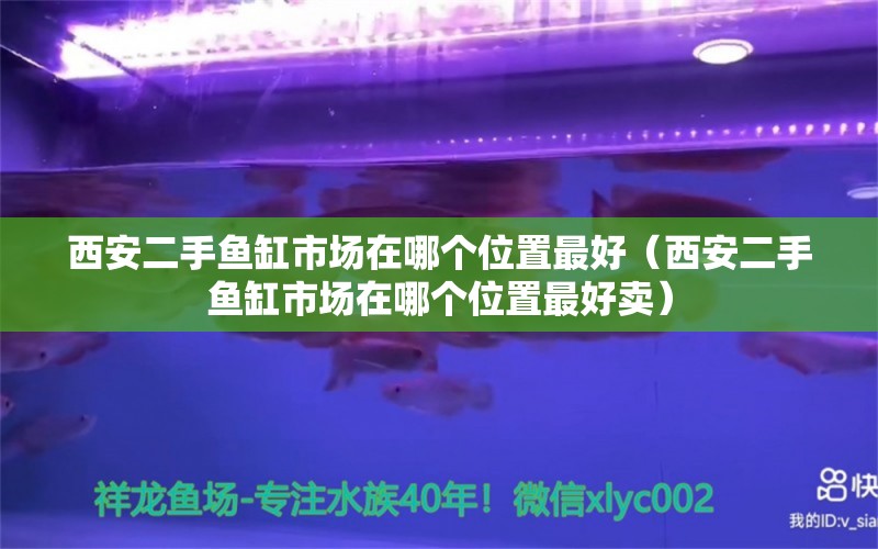 西安二手鱼缸市场在哪个位置最好（西安二手鱼缸市场在哪个位置最好卖）