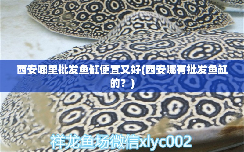 西安哪里批发鱼缸便宜又好(西安哪有批发鱼缸的？) 广州祥龙国际水族贸易