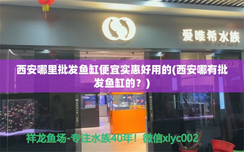 西安哪里批发鱼缸便宜实惠好用的(西安哪有批发鱼缸的？) 高背金龙鱼 第1张