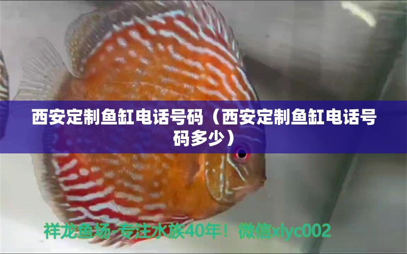 西安定制鱼缸电话号码（西安定制鱼缸电话号码多少） 祥龙水族医院