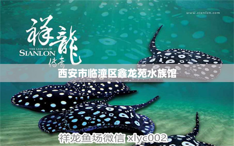 西安市临潼区鑫龙苑水族馆 全国水族馆企业名录