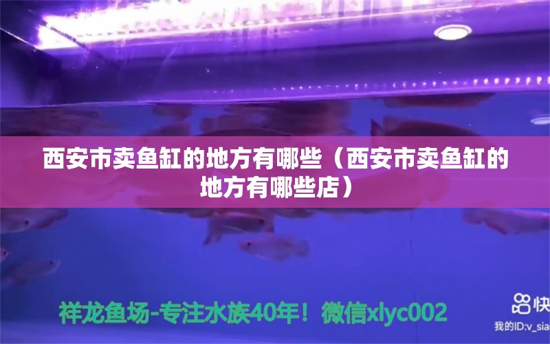 西安市卖鱼缸的地方有哪些（西安市卖鱼缸的地方有哪些店）