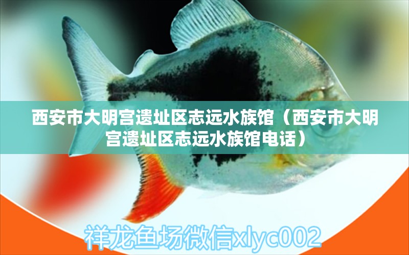 西安市大明宫遗址区志远水族馆（西安市大明宫遗址区志远水族馆电话）