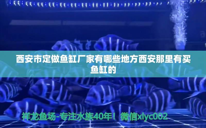 西安市定做鱼缸厂家有哪些地方西安那里有买鱼缸的 银龙鱼苗 第1张