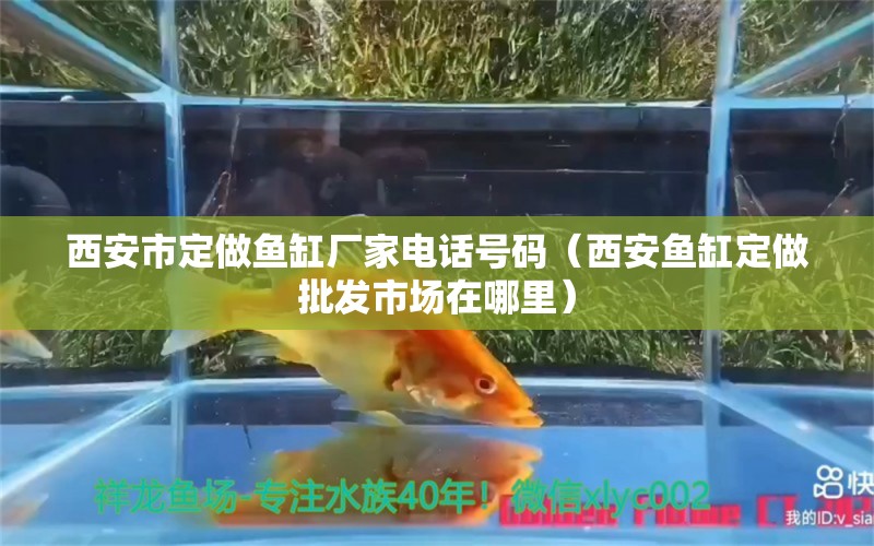 西安市定做鱼缸厂家电话号码（西安鱼缸定做批发市场在哪里） 广州观赏鱼批发市场