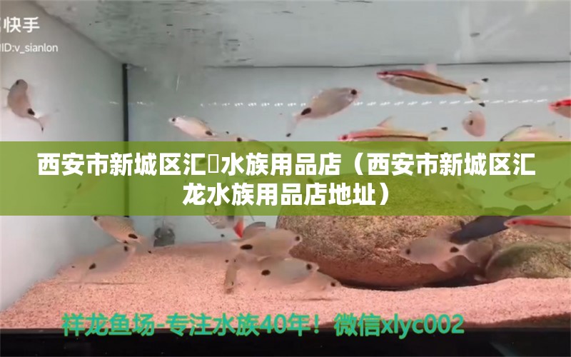 西安市新城区汇龍水族用品店（西安市新城区汇龙水族用品店地址）