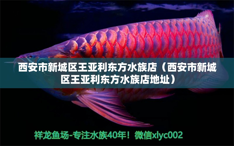 西安市新城区王亚利东方水族店（西安市新城区王亚利东方水族店地址） 全国水族馆企业名录