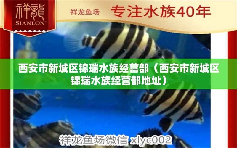 西安市新城区锦瑞水族经营部（西安市新城区锦瑞水族经营部地址）