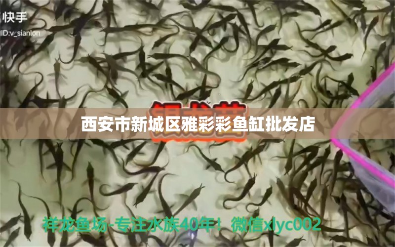 西安市新城区雅彩彩鱼缸批发店 全国水族馆企业名录