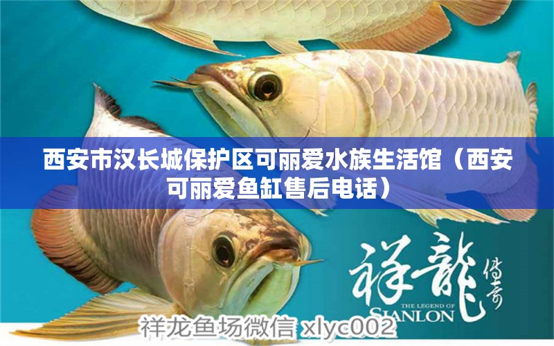 西安市汉长城保护区可丽爱水族生活馆（西安可丽爱鱼缸售后电话）