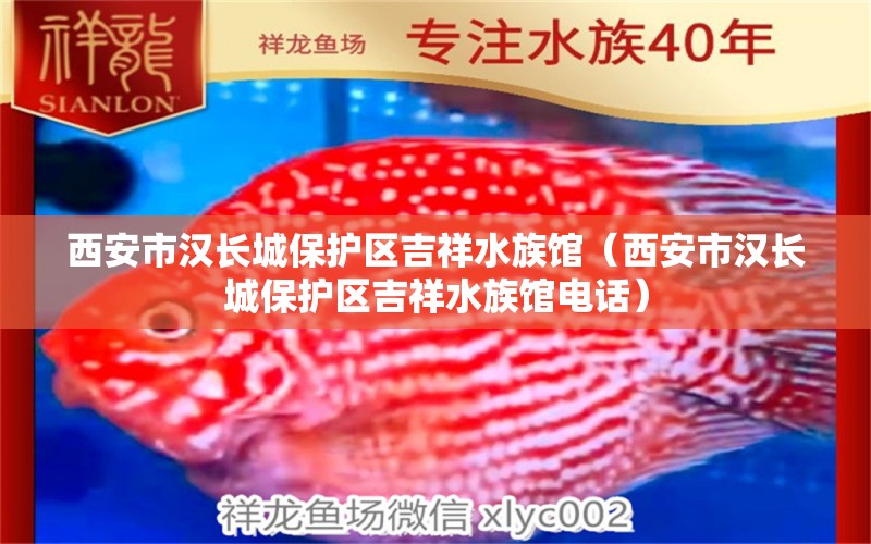 西安市汉长城保护区吉祥水族馆（西安市汉长城保护区吉祥水族馆电话）