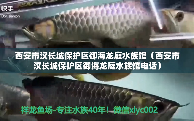 西安市汉长城保护区御海龙庭水族馆（西安市汉长城保护区御海龙庭水族馆电话）