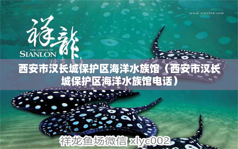 西安市汉长城保护区海洋水族馆（西安市汉长城保护区海洋水族馆电话）