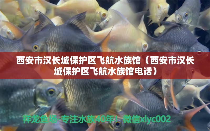 西安市汉长城保护区飞航水族馆（西安市汉长城保护区飞航水族馆电话）