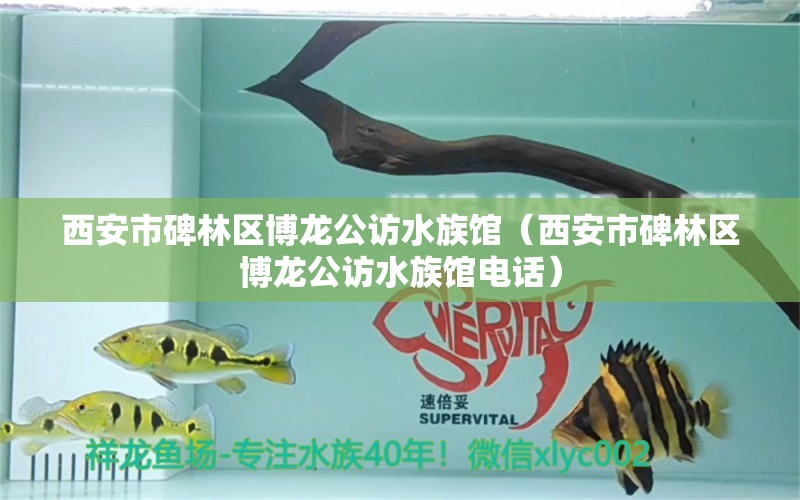 西安市碑林区博龙公访水族馆（西安市碑林区博龙公访水族馆电话） 全国水族馆企业名录