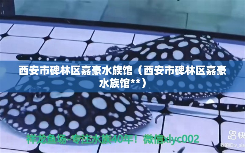 西安市碑林区嘉豪水族馆（西安市碑林区嘉豪水族馆**）