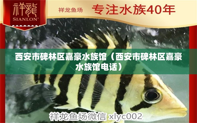 西安市碑林区嘉豪水族馆（西安市碑林区嘉豪水族馆电话）