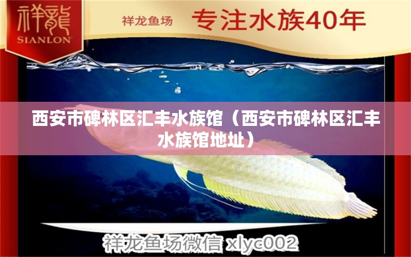 西安市碑林区汇丰水族馆（西安市碑林区汇丰水族馆地址） 全国水族馆企业名录