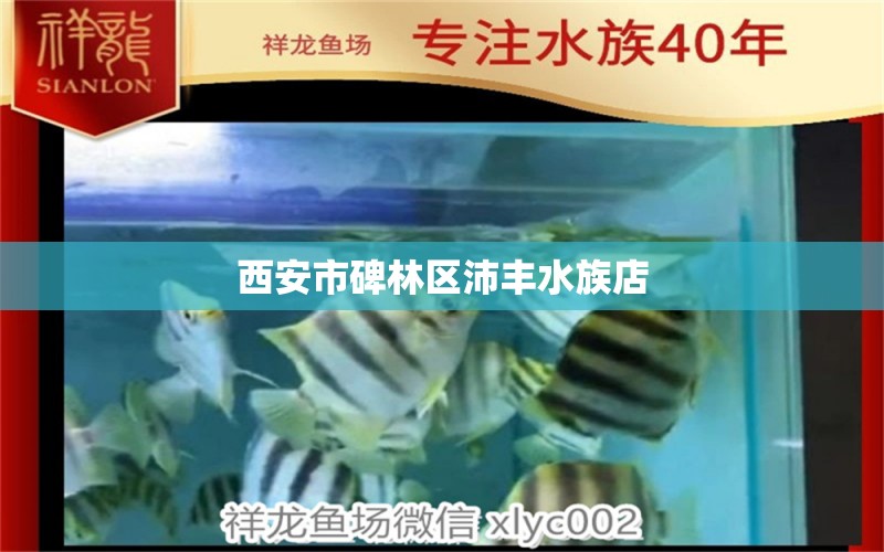 西安市碑林区沛丰水族店