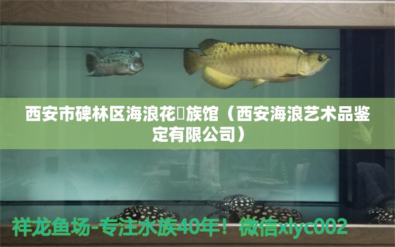 西安市碑林区海浪花氺族馆（西安海浪艺术品鉴定有限公司） 全国水族馆企业名录